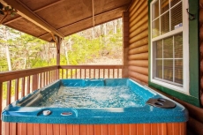 2 BR Pet-Friendly Cabin Rental