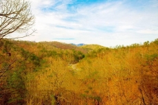 Serendipity - Bear Tracts Vacation Cabins