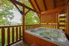 1 BR Pet-Friendly Cabin Rental