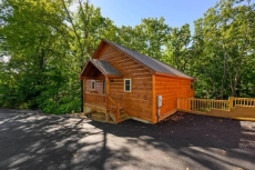 2 BR Pet-Friendly Cabin Rental