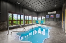 A Bear's Poolside View - Bear Tracts Vacation Cabins