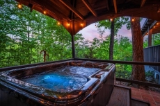 1 BR Pet-Friendly Cabin Rental