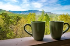 3 BR Pet-Friendly Cabin Rental