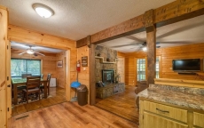 The Backyard Bear - Bear Tracts Vacation Cabins