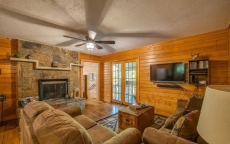 The Backyard Bear - Bear Tracts Vacation Cabins