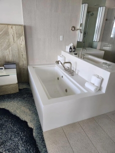 Beautiful 2br in the W Residences Fort Lauderdale