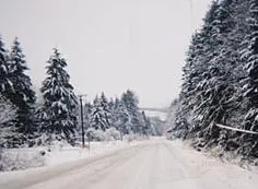 2 Bedrooms BnB Overnighter Bed