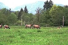 2 Bedrooms BnB Overnighter Bed