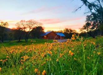 3 BR Cabin Rental in California, United States of America