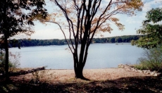 Your private beach, 50 ft from the back door, sunny in afternoon