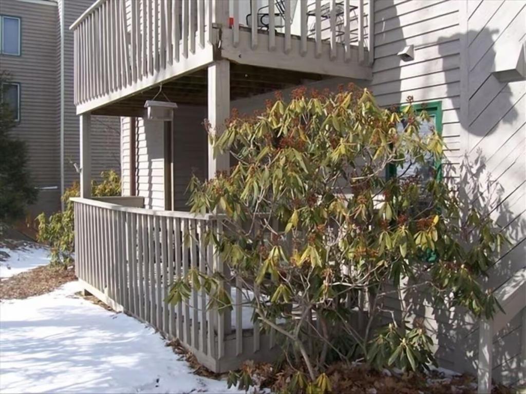 2 Bedrooms Condo Rental in Wintergreen, Virginia