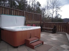 Can't Bear To Leave - Cathy’s Cabins of Pigeon Forge