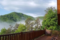Can't Bear To Leave - Cathy’s Cabins of Pigeon Forge