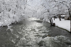 Laura Bell on Cosby Creek East Tennessee - Cathy’s Cabins of Pigeon Forge
