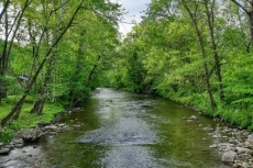 Laura Bell on Cosby Creek East Tennessee - Cathy’s Cabins of Pigeon Forge