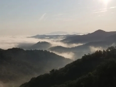Cabin for rent in Pigeon Forge Tennessee