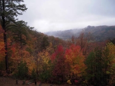 Cabin for rent in Pigeon Forge Tennessee