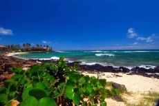 Nani O'Hana Home - 4 BDR, 3 BR, A/C, walk to beaches, restaurants and The Grand Hyatt