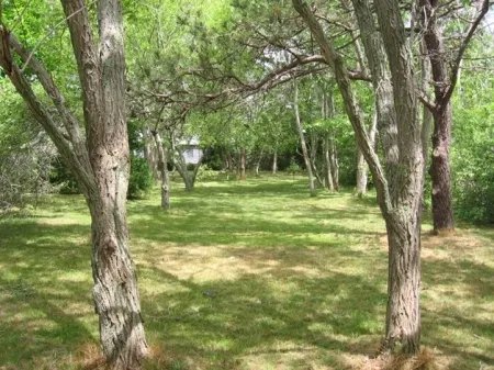 3 Bedrooms House Rental in Eastham, Massachusetts