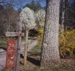 3 Bedrooms Cottage Fall Creek