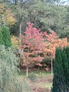 5 Bedrooms BnB Bed and