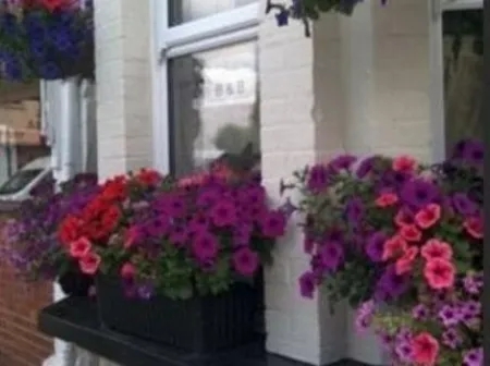 1 Bedroom Villa Rental in Guildford, United Kingdom