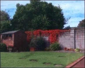 1 Bedroom BnB Tree Tops