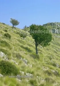 1 Bedroom Farmhouse I Moresani