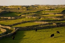 BnB for rent in Auckland New zealand