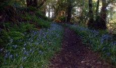 3 Bedrooms Cottage Two