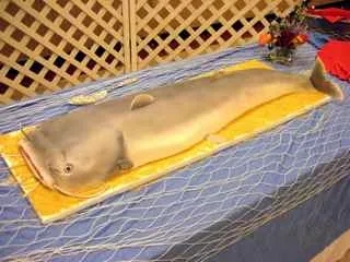 2 Bedrooms Condo River Condo