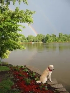 Chalet for rent in Pincourt Quebec