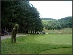 2 BR Chalet Rental in Saint Faustin Lac Carre, Quebec