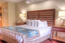 You will keep coming back for more!