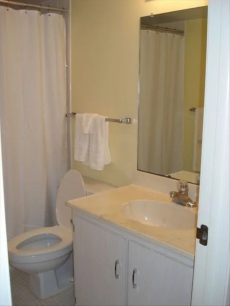 Gorgeous Newly Remodeled 502 Shores Club Oceanfront