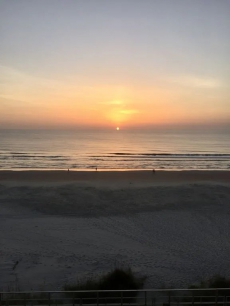 Gorgeous Newly Remodeled 502 Shores Club Oceanfront