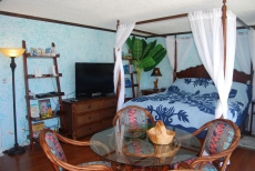 Ocean View Studio - Polu Hale - 2 min Walk from Beach