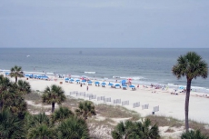 116 Dune Lane - 4 Bedroom, 2nd Row Home w/ Private Pool, 20 yards to Beach!