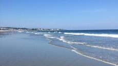 Fabulous North Beach