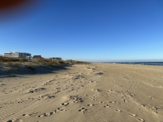 Beach Facing North, 5 mi. to VB downtown