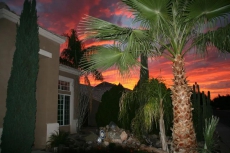 Spirng training. Very close to spring training venues. 3700 Sq ft home