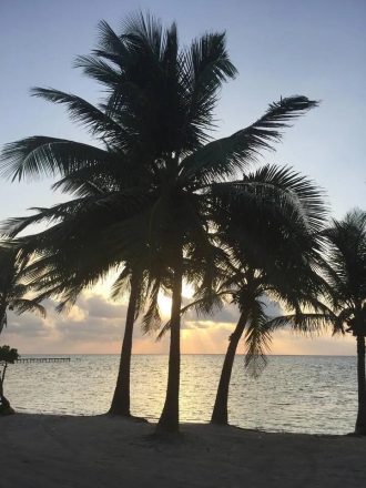 1 BR BnB Rental in San Pedro, Belize