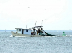 1 bedroom Condo 303A bay front