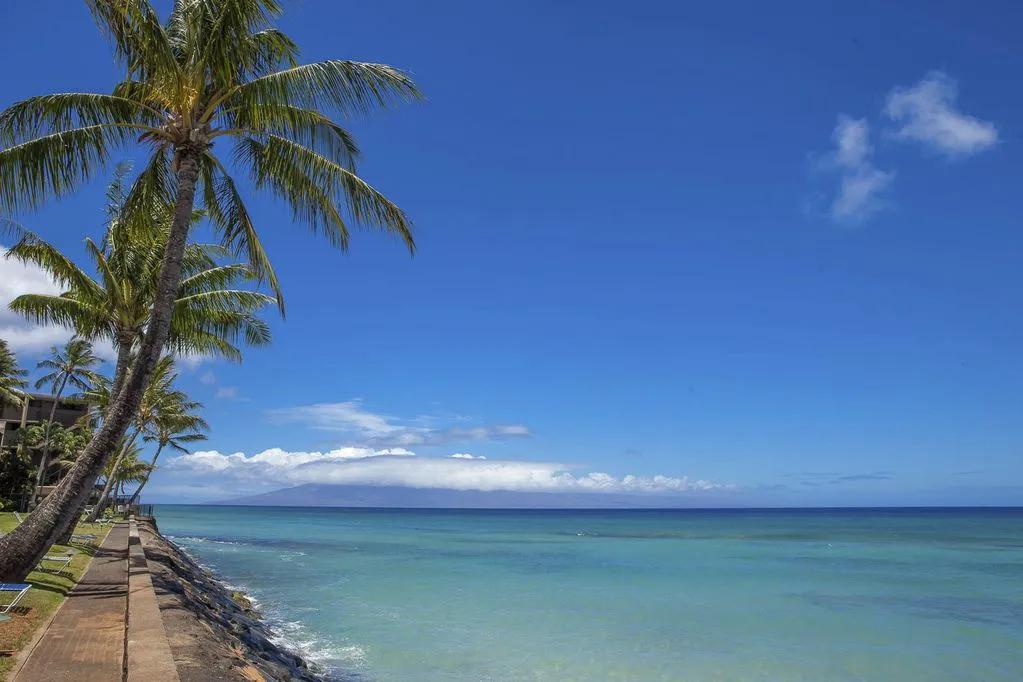 1 Bedroom Condo Rental in Lahaina, Hawaii