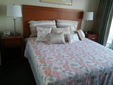 Unique Oceanfront Upgraded One Bedroom  Deluxe-Perfect for couple -Max 4 people-with Washer and Dryer +  21