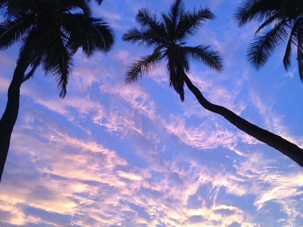 1 Bedroom Condo Rental in Kihei, Hawaii
