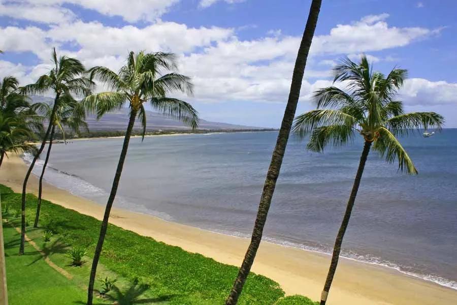 1 Bedroom Condo Rental in Kihei, Hawaii