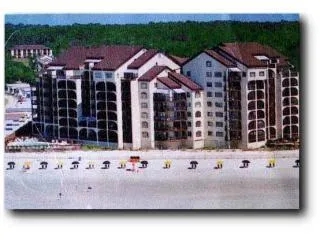 Ariel View