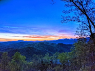 1 BR Pet-Friendly Cabin