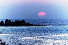 Causal Caribbean - Near Shoals Bay Beach - 4 Bedrooms - Ocean View